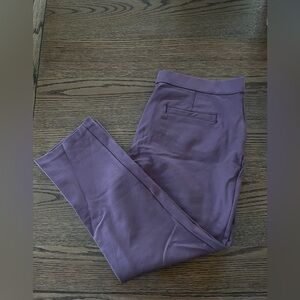 Purple Dress Slacks